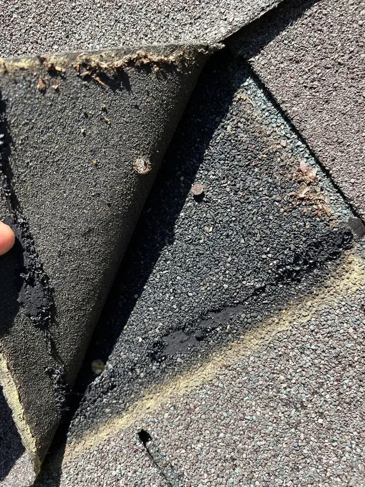 Nail pop pushing through shingle surface creating a raised bump and leak path