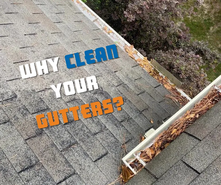 Five Reasons You Should Clean Your Gutters