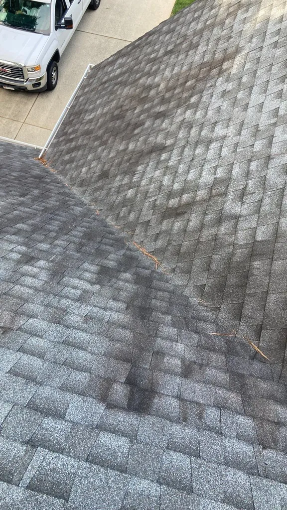 Dark algae and moss staining on shingles shaded by nearby trees