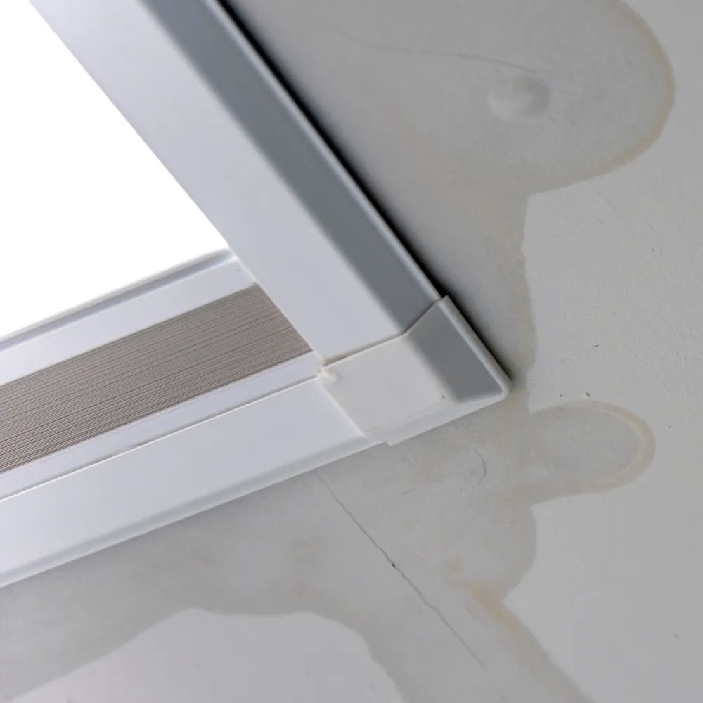 a wet ceiling as a result of a leaking skylight_WebP