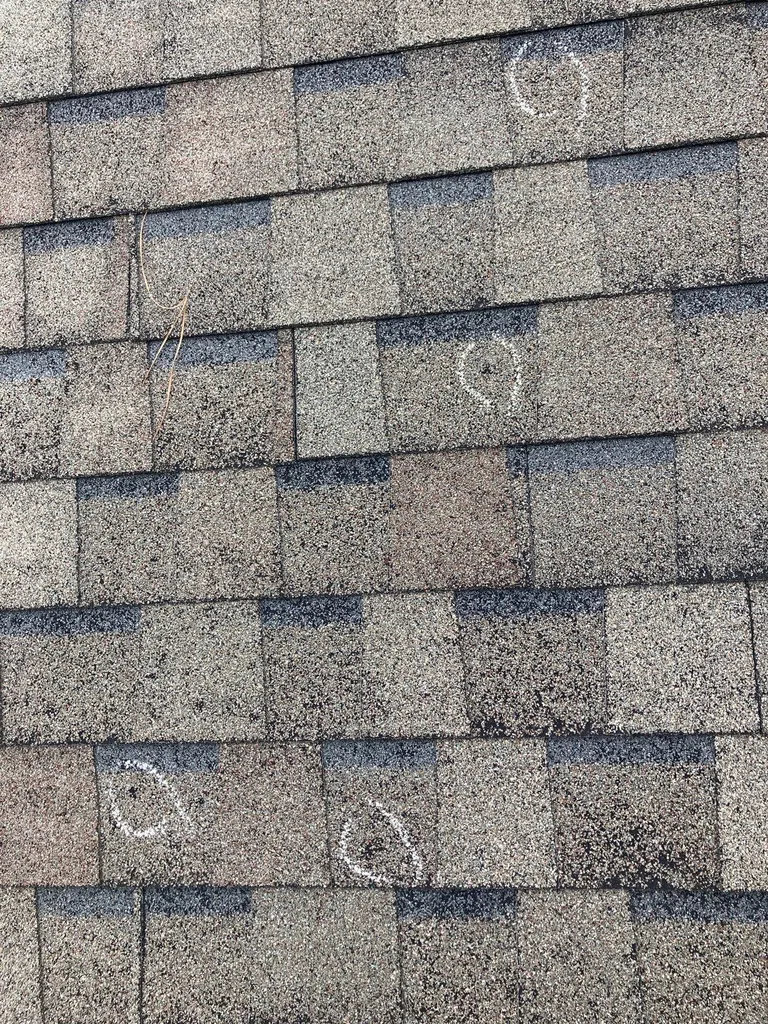 hail marks on shingles_WebP