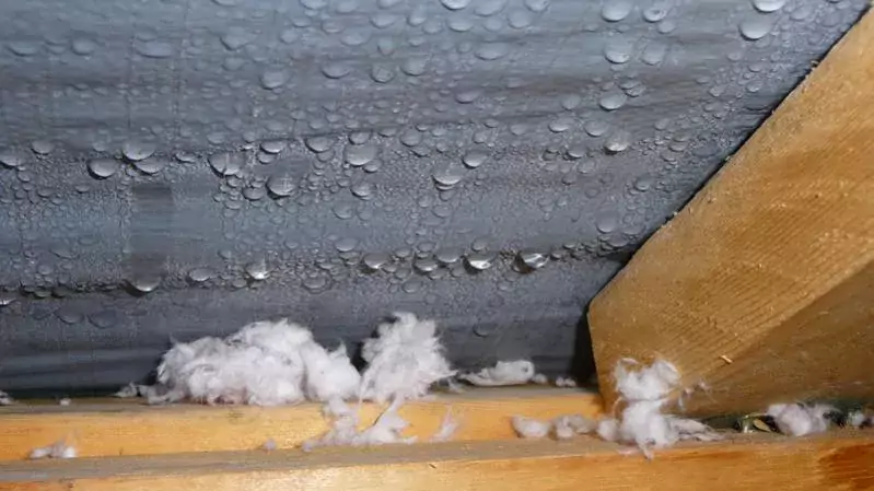 Condensation in an attic