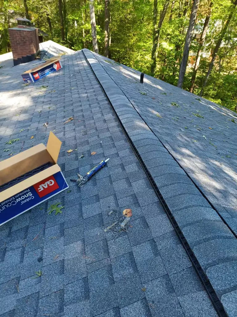 filtered ridge vent_WebP