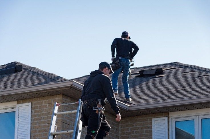 Roof inspection