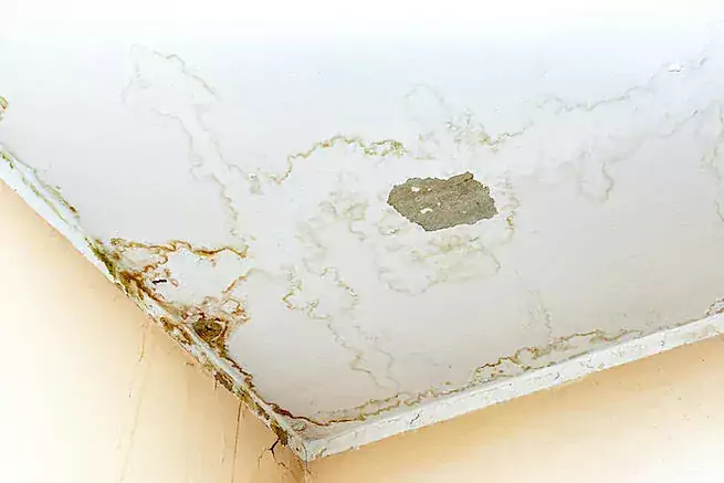 5 Steps to Fix Your Leaky Roof