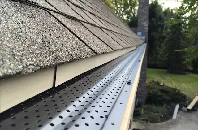 Everything You Need to Know About Gutter Guards