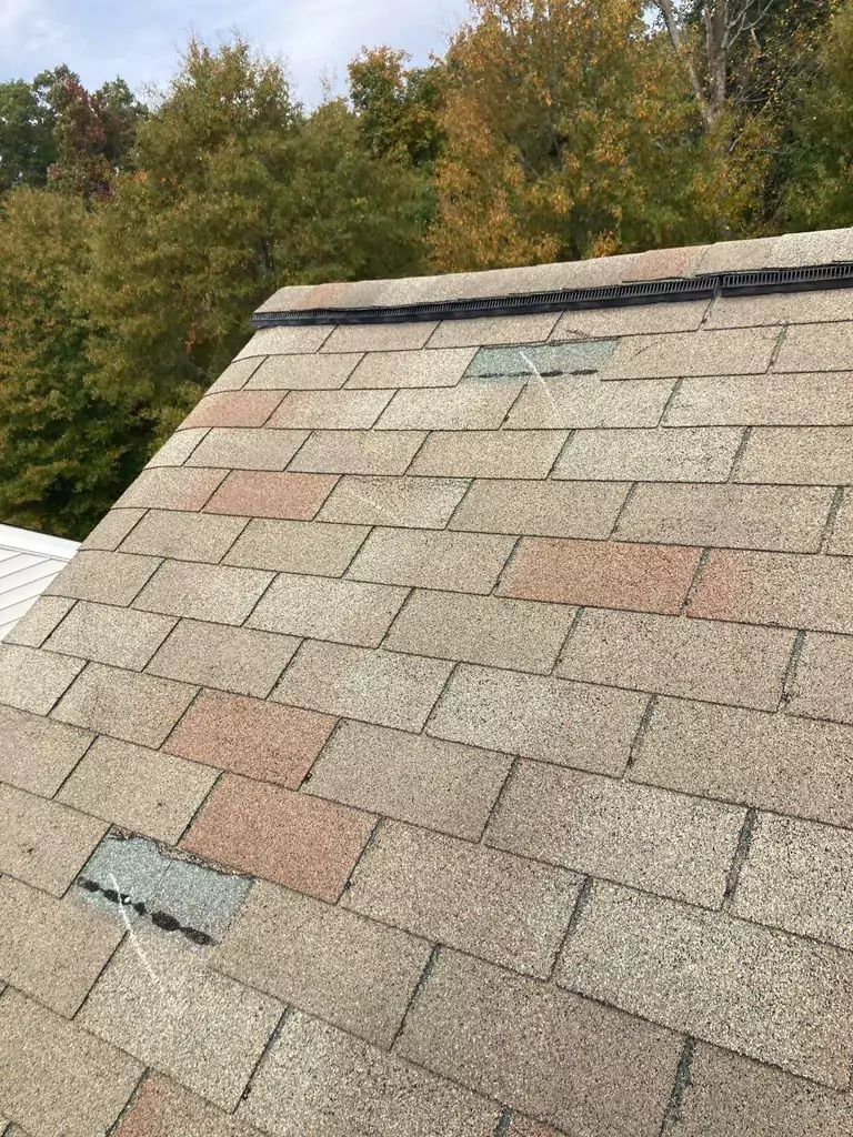 missing and old shingles_WebP