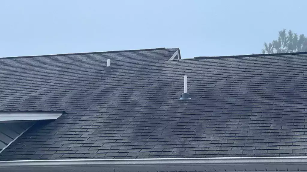 more black streaks and spots