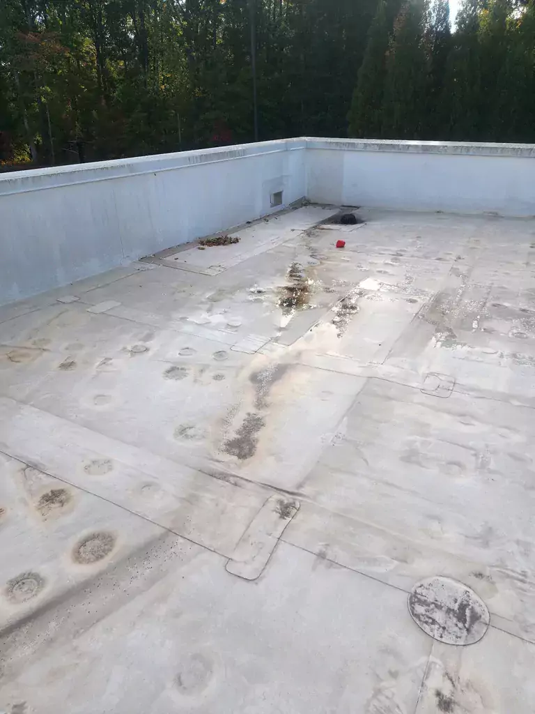 older tpo roof_WebP-1