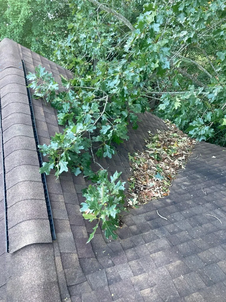 Tree branches overhanging and resting against a residential roof