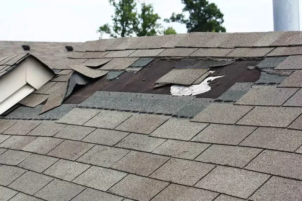 Damaged Shingles