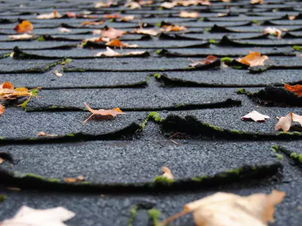 Curled shingles