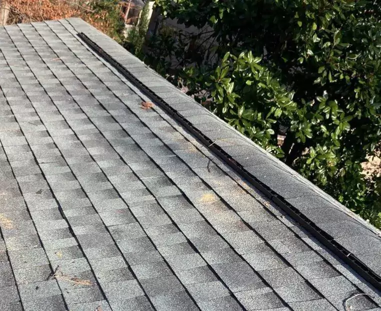 ridge vent_WebP