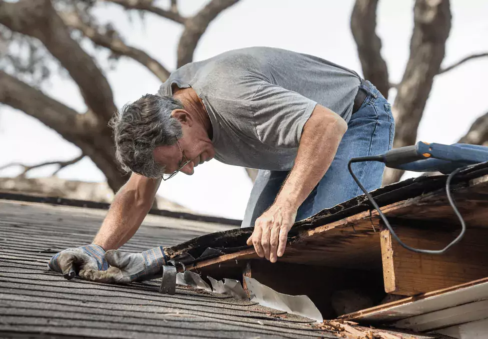 6 Things Your Contractor Will Look For During A Roof Inspection