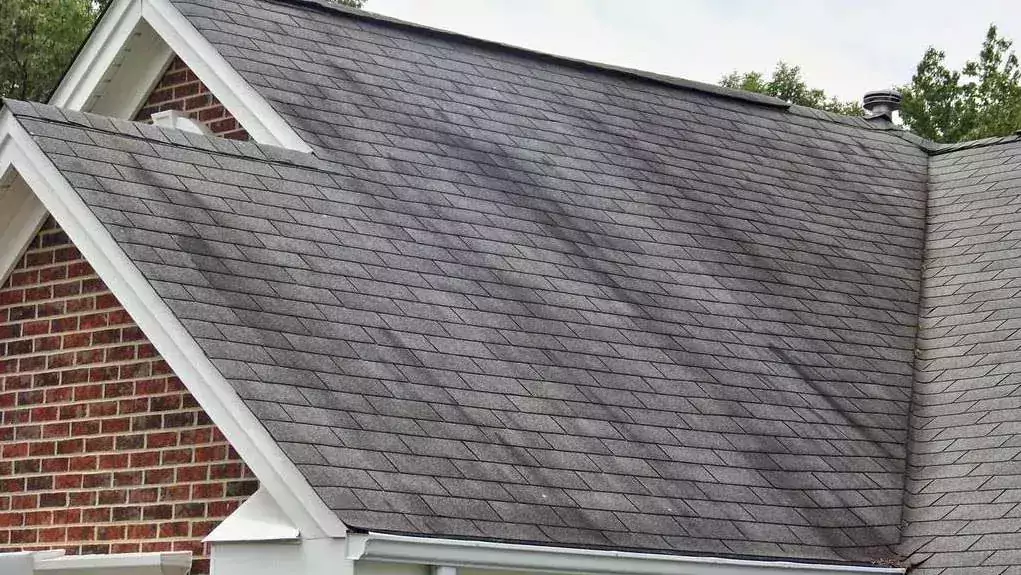 What are the Black Streaks on Your Roof? (What is Algae?)
