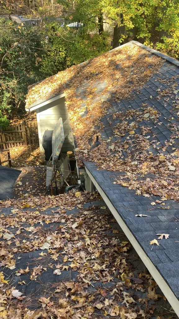 Fallen leaves piled on a shingle roof from an overhanging tree